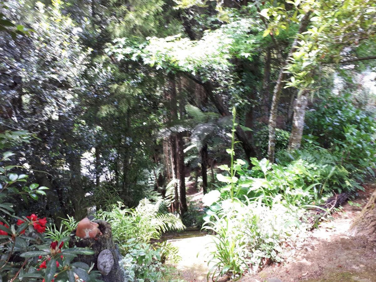 타우마루누이 Rangaroa Heights B&B 외부 사진